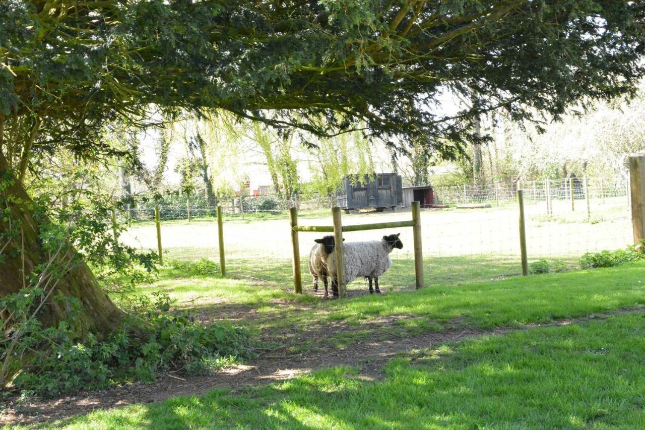 Villa Yew Tree Farm Barn, Worlingworth Esterno foto